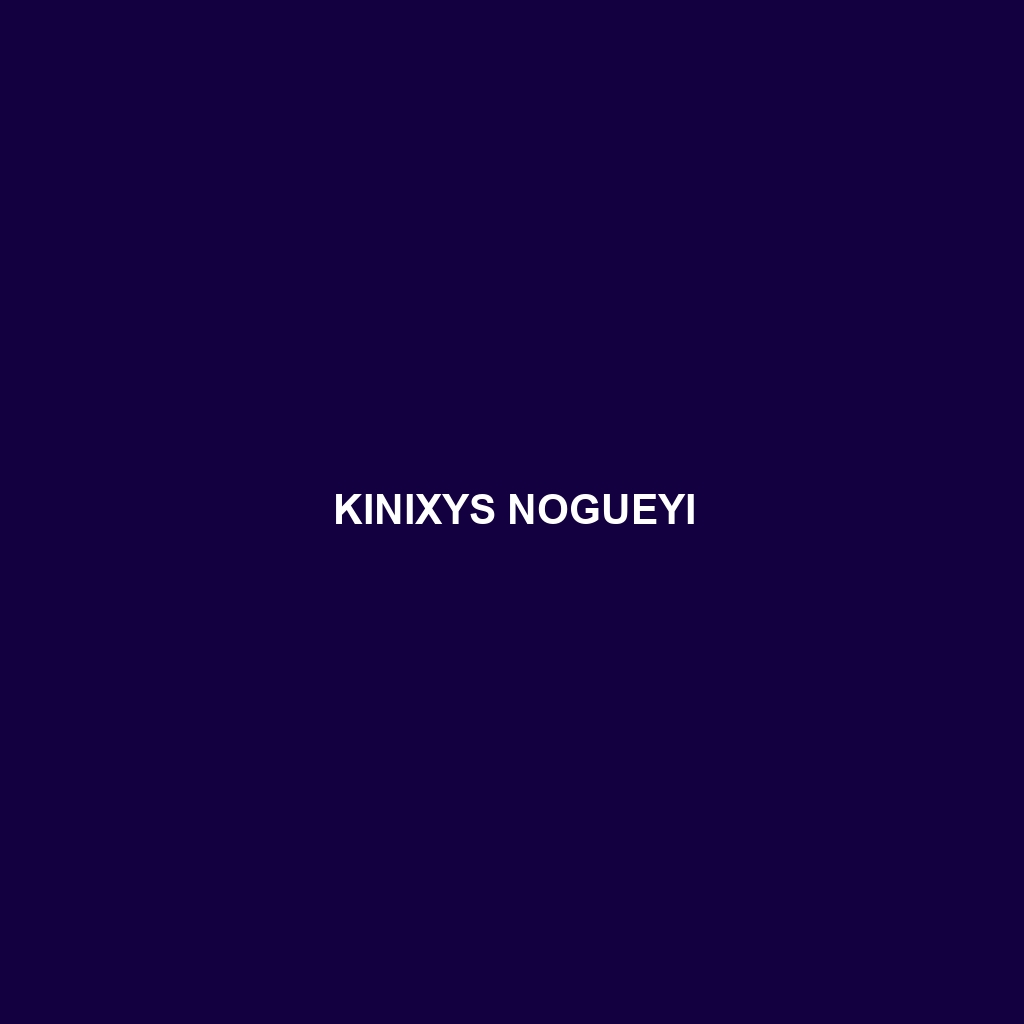 Kinixys nogueyi