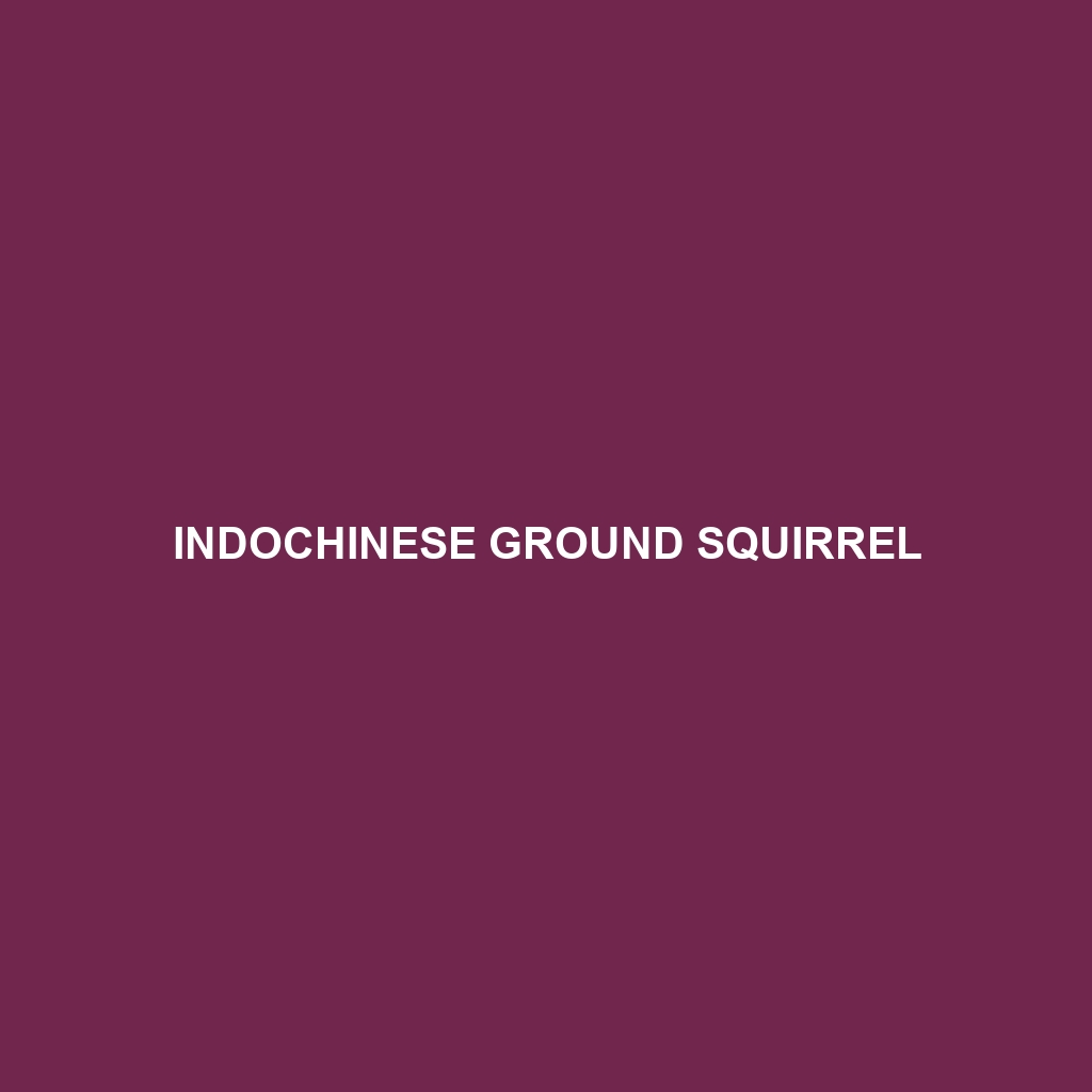 Indochinese Ground Squirrel