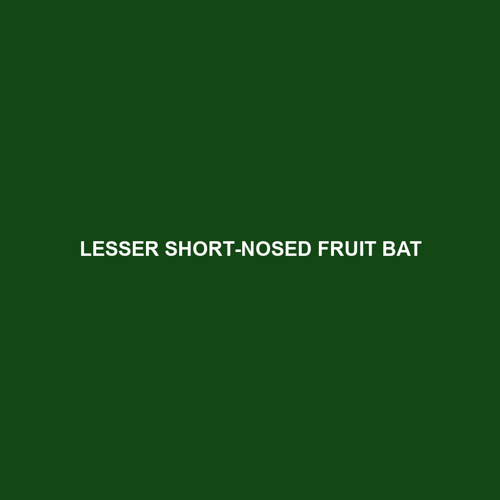 Lesser Short-nosed Fruit Bat