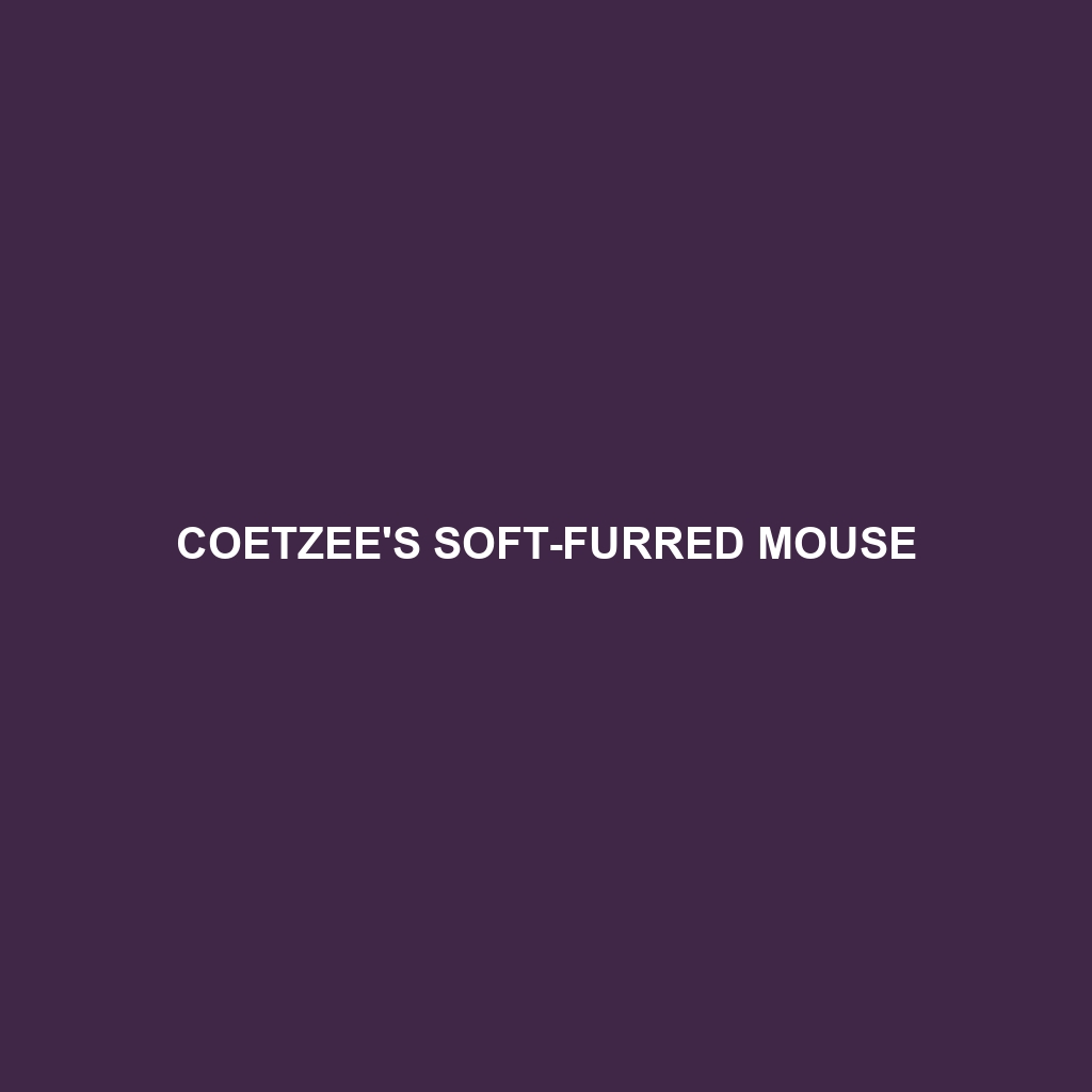 Coetzee's Soft-furred Mouse