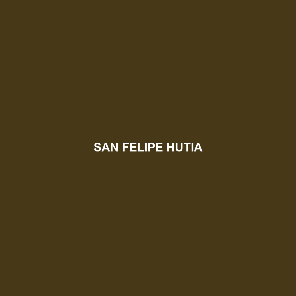 San Felipe Hutia