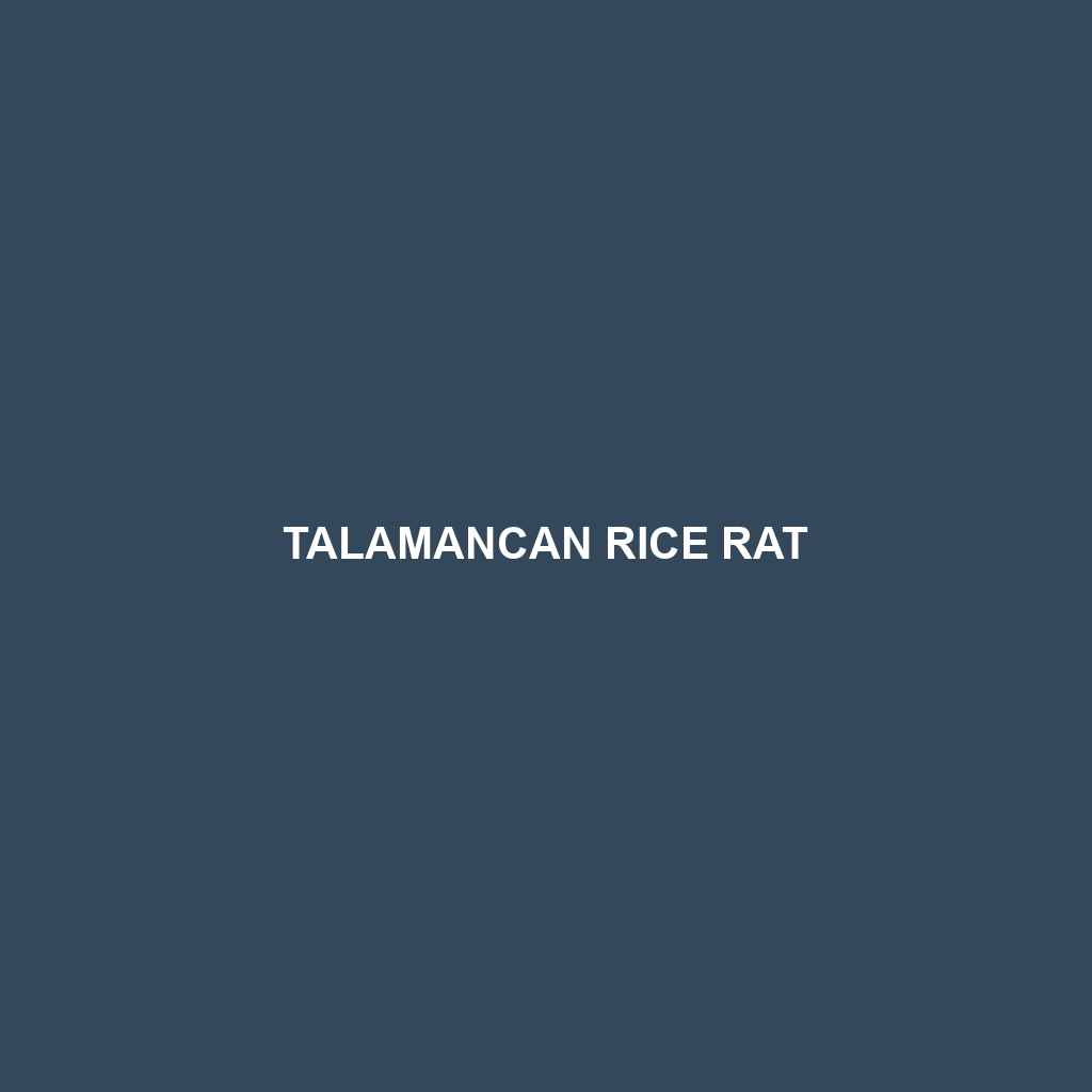 Talamancan Rice Rat