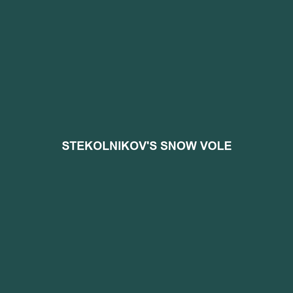 Stekolnikov's Snow Vole