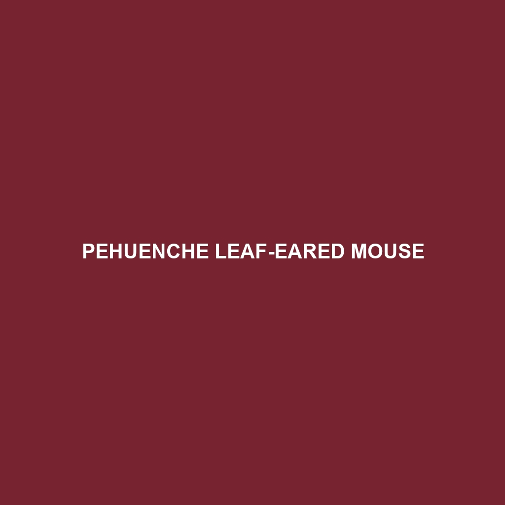 Pehuenche Leaf-eared Mouse