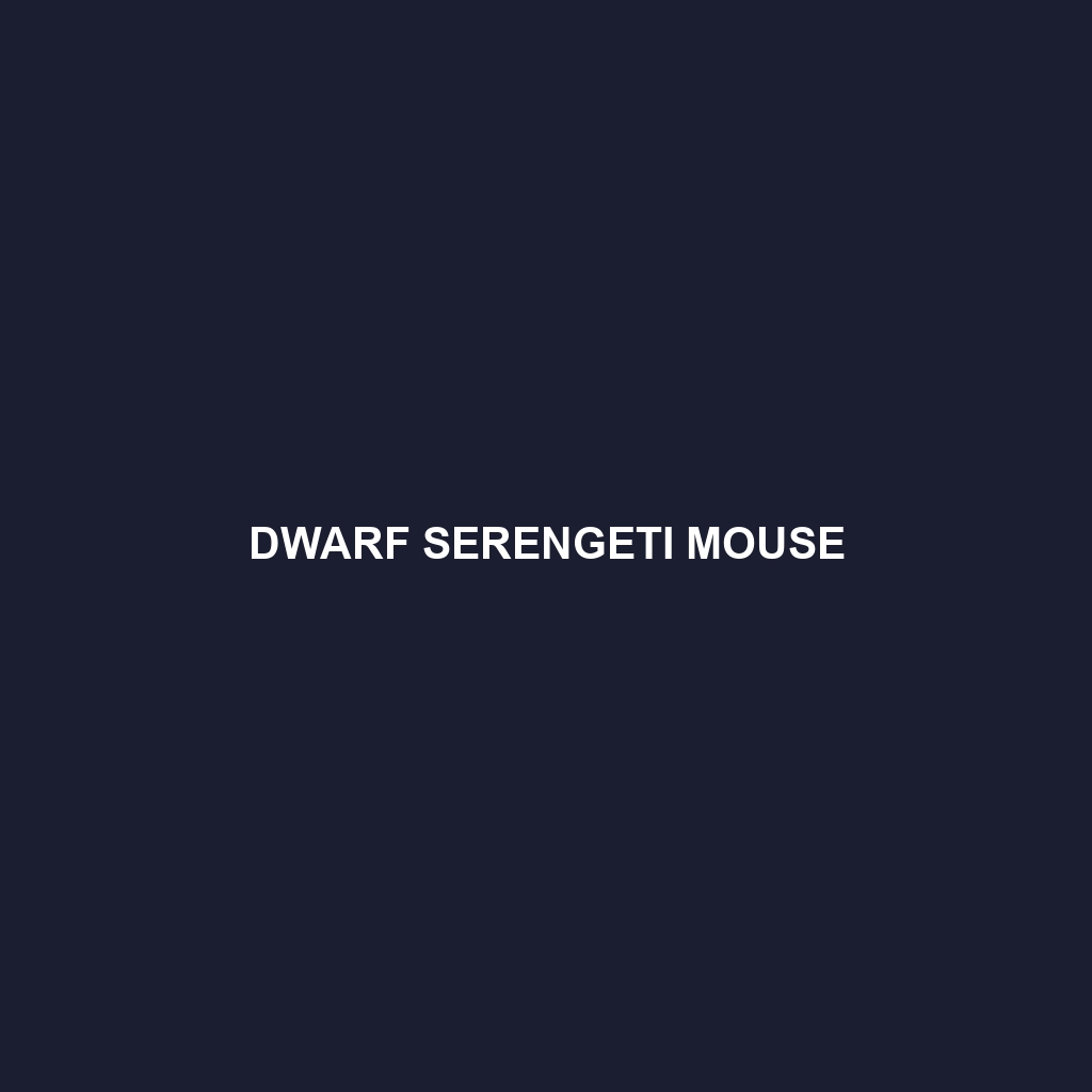 Dwarf Serengeti Mouse