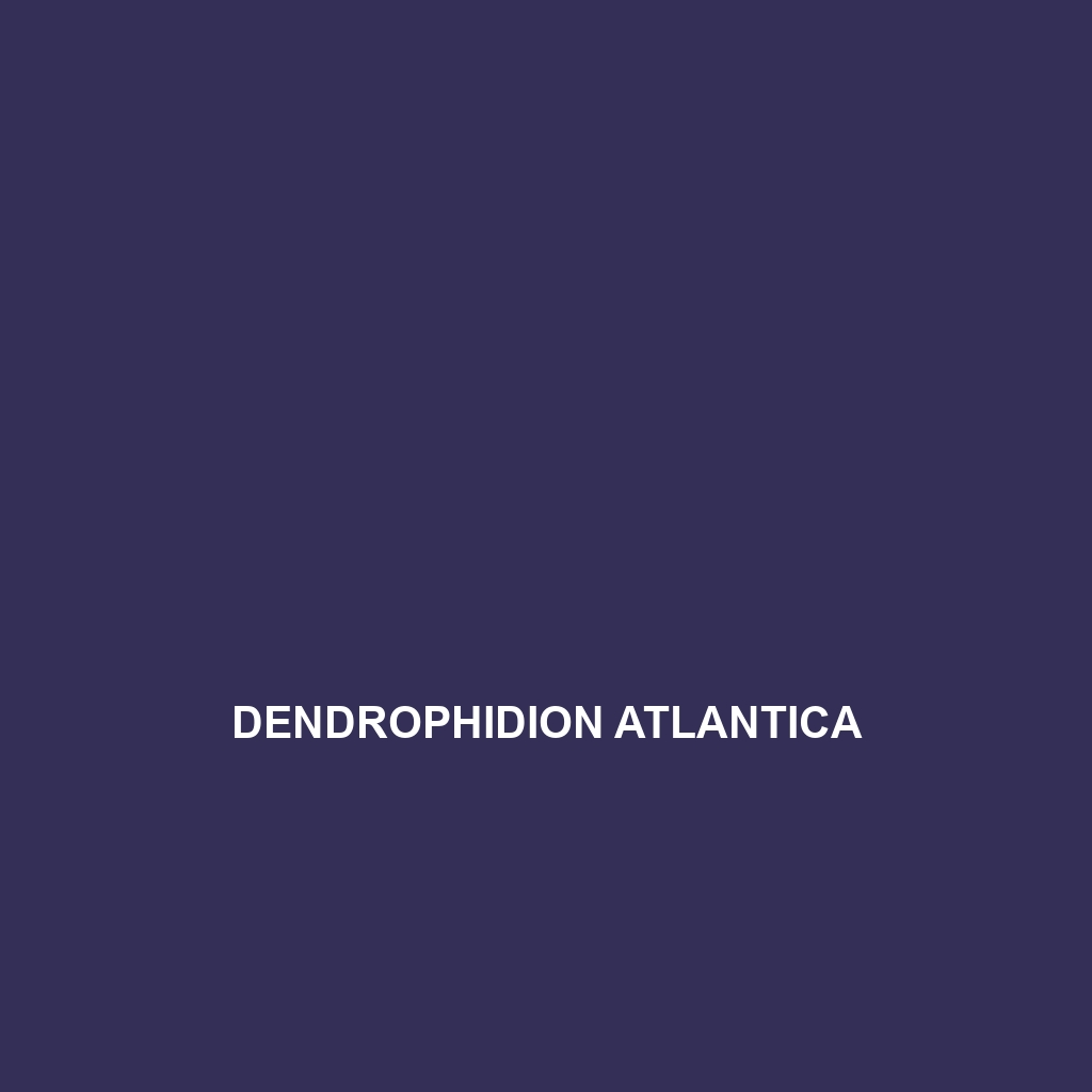 Dendrophidion atlantica