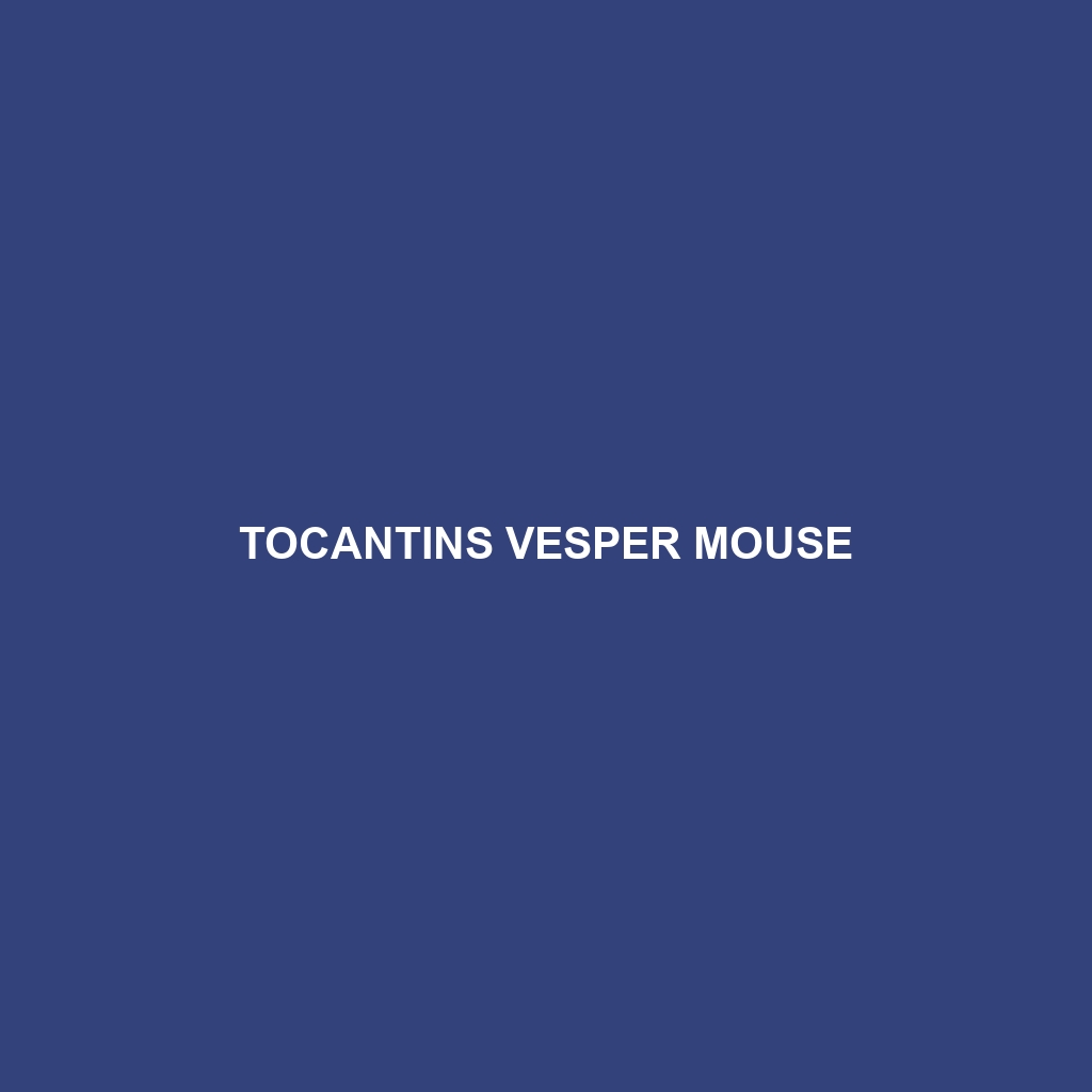 Tocantins Vesper Mouse