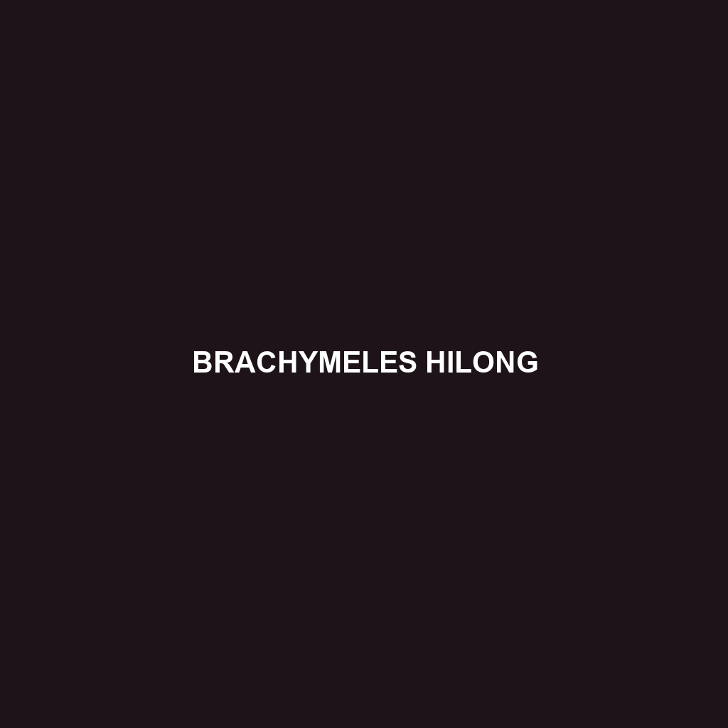 Brachymeles hilong