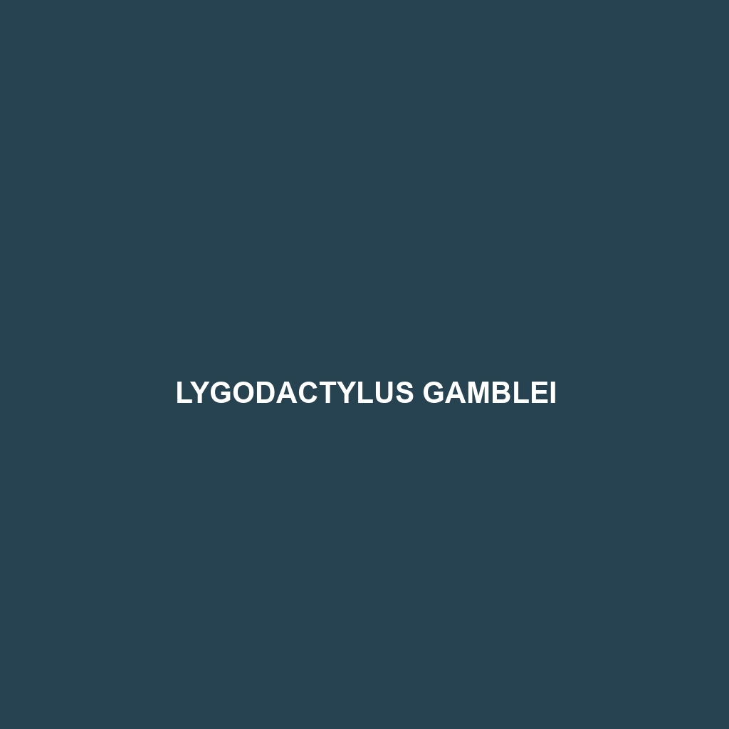 Lygodactylus gamblei