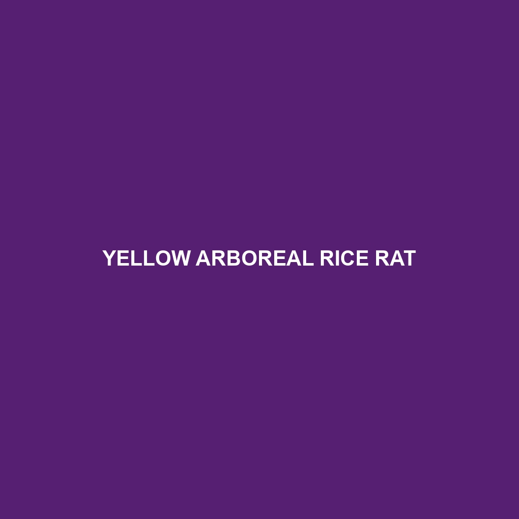 Yellow Arboreal Rice Rat