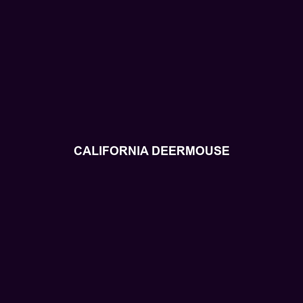 California Deermouse