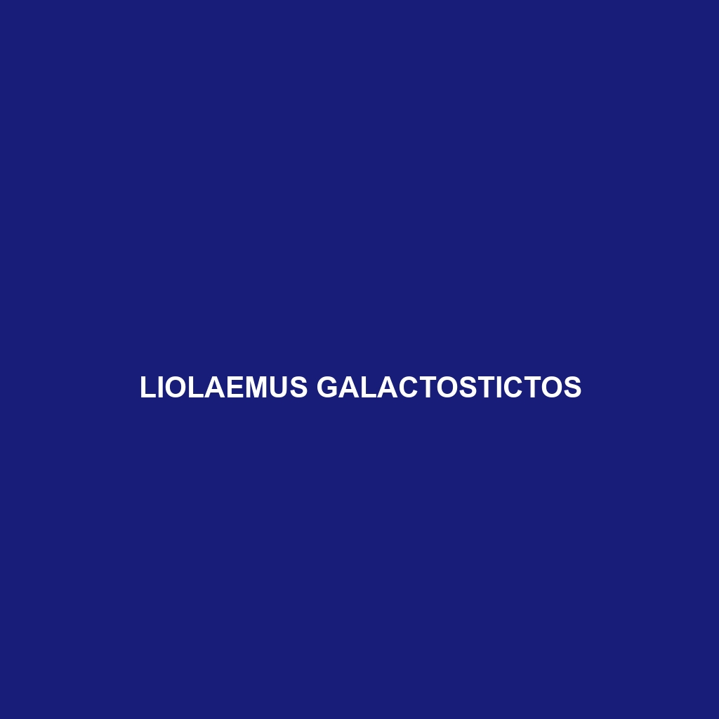 Liolaemus galactostictos