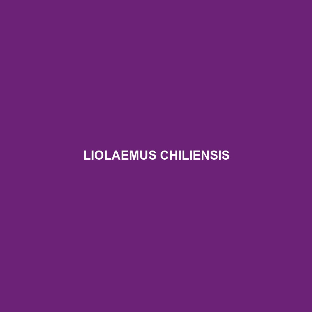 Liolaemus chiliensis