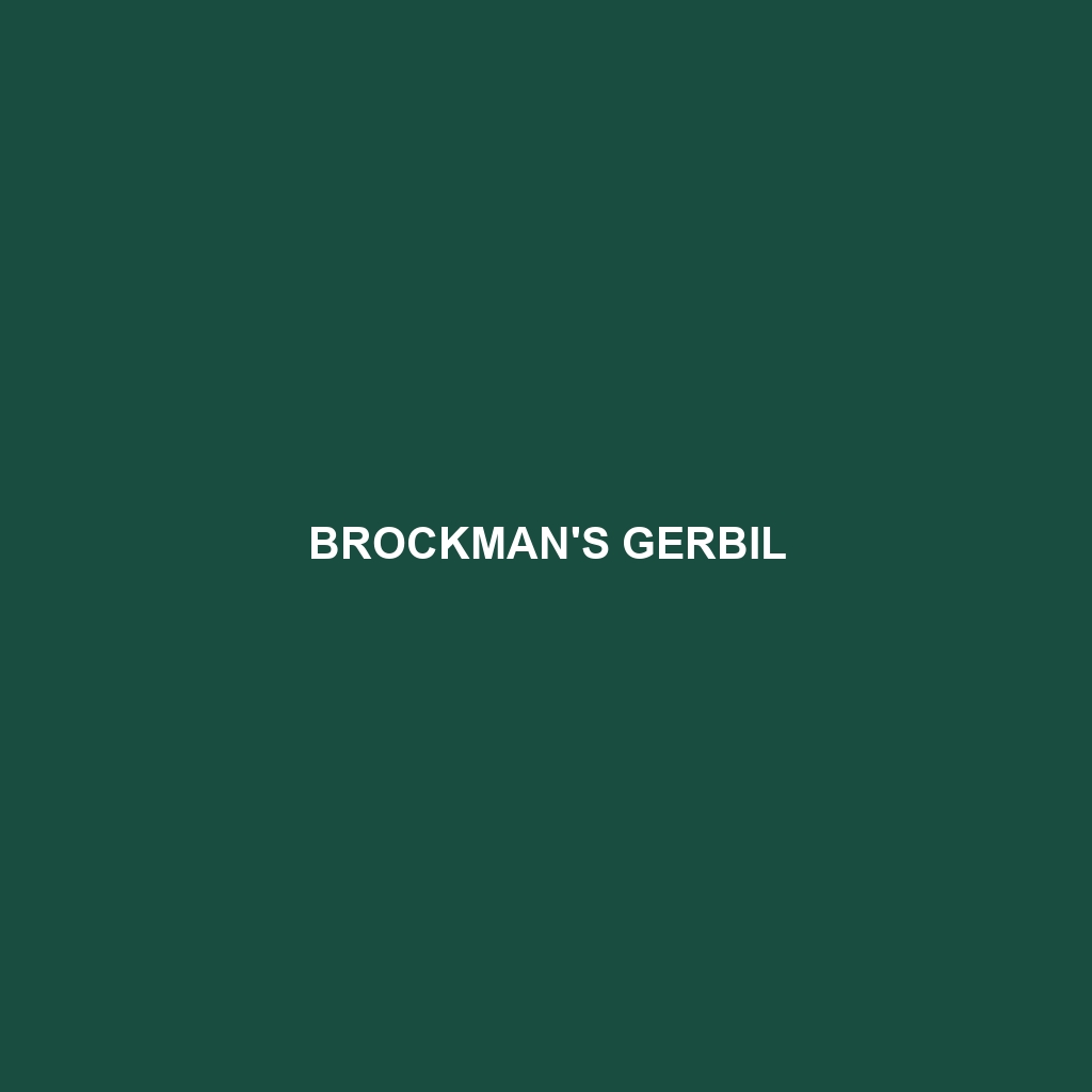 Brockman's Gerbil