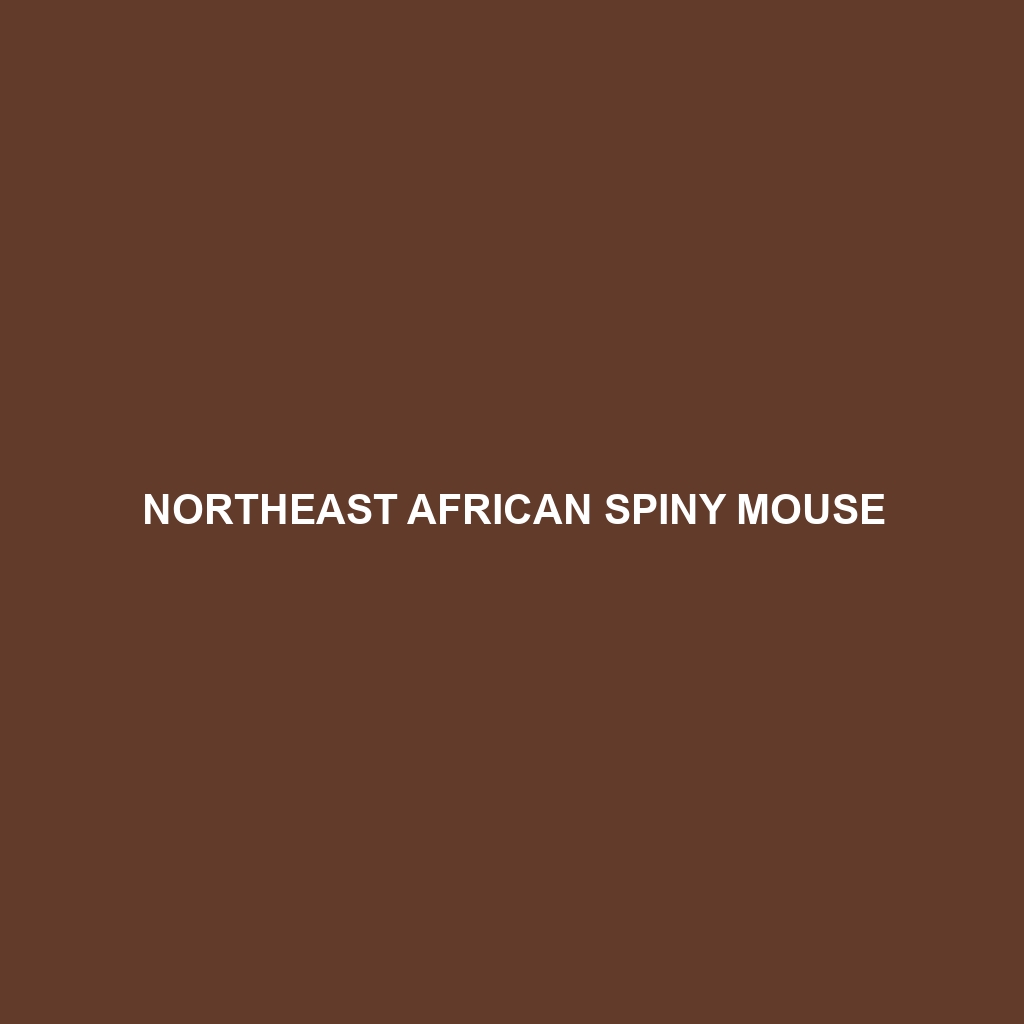 Northeast African Spiny Mouse