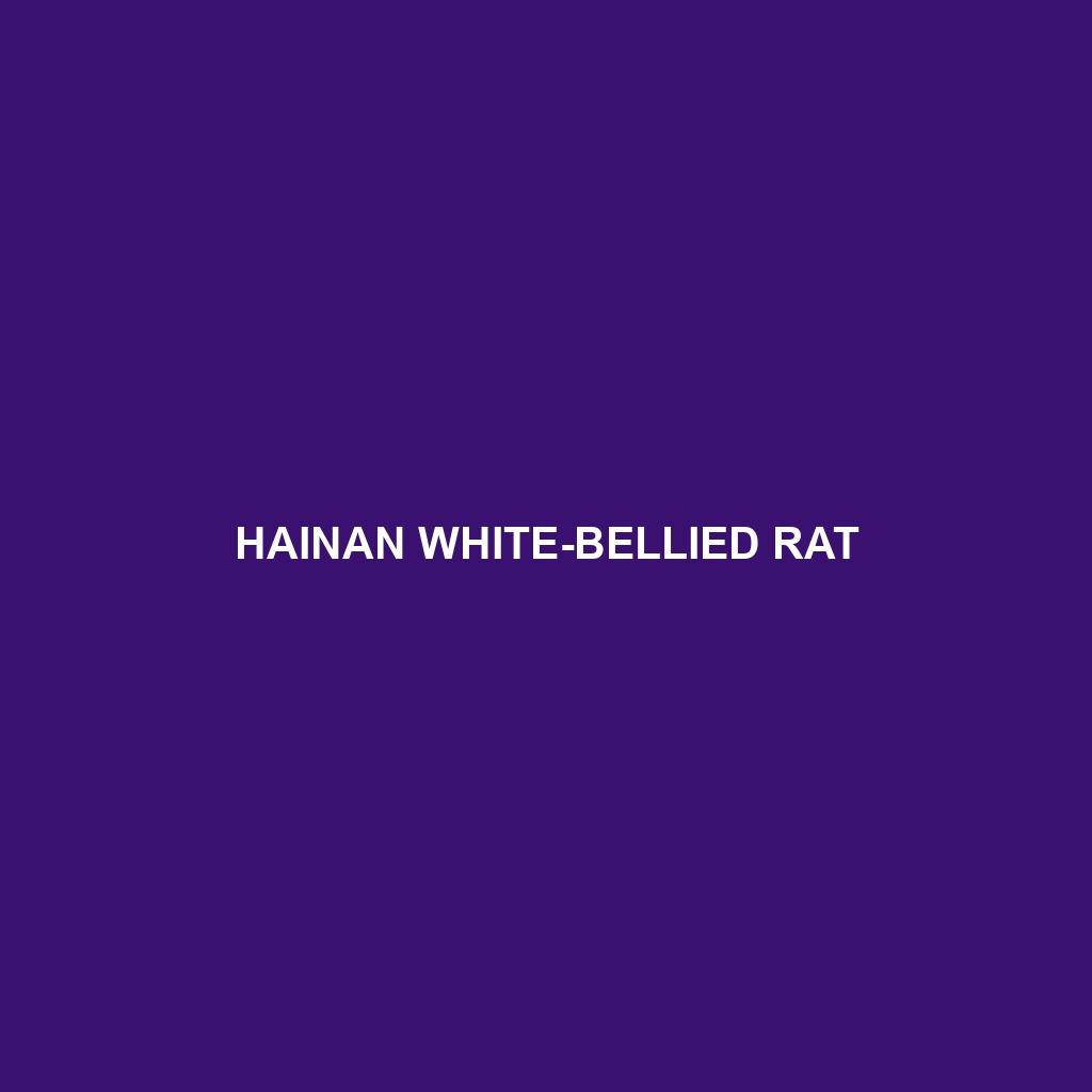 Hainan White-bellied Rat