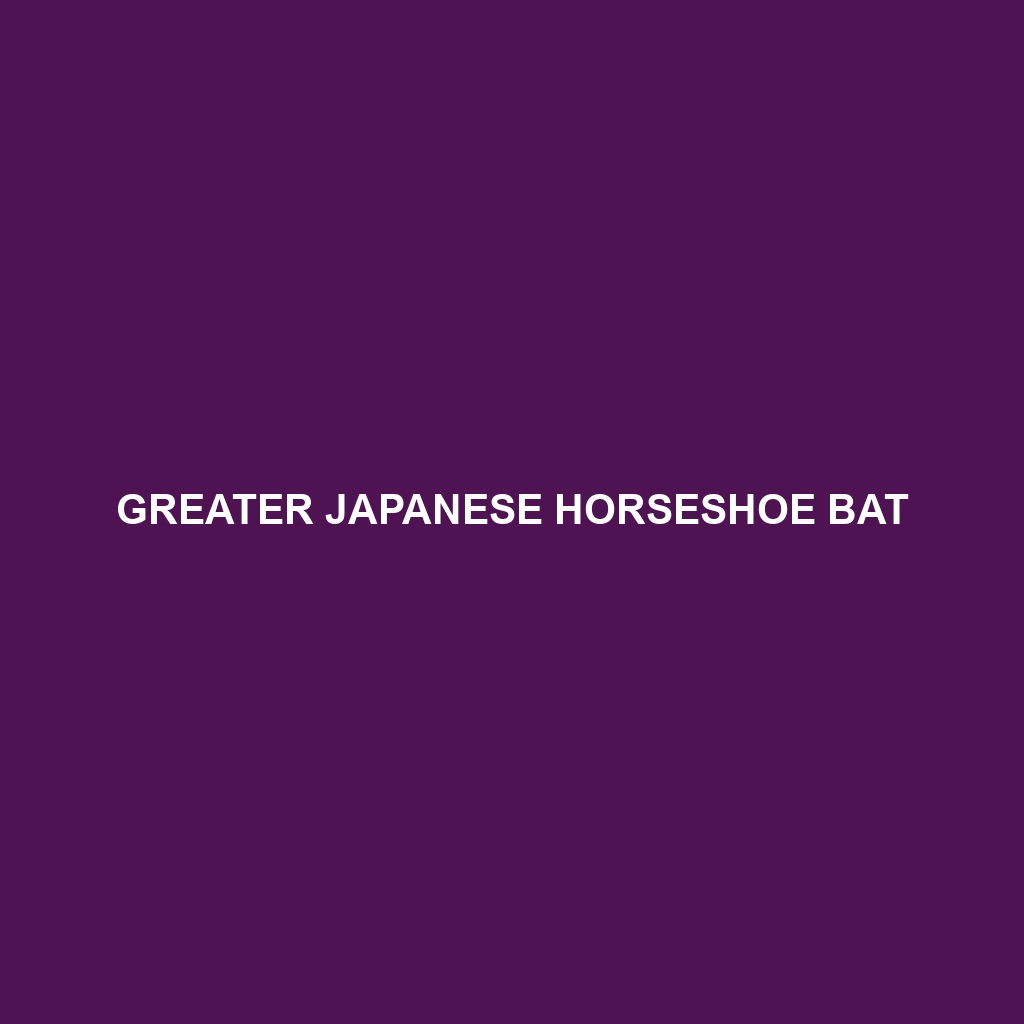 Greater Japanese Horseshoe Bat