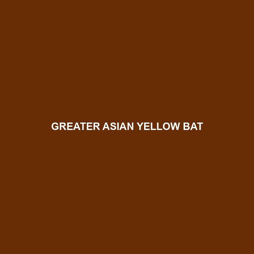 Greater Asian Yellow Bat