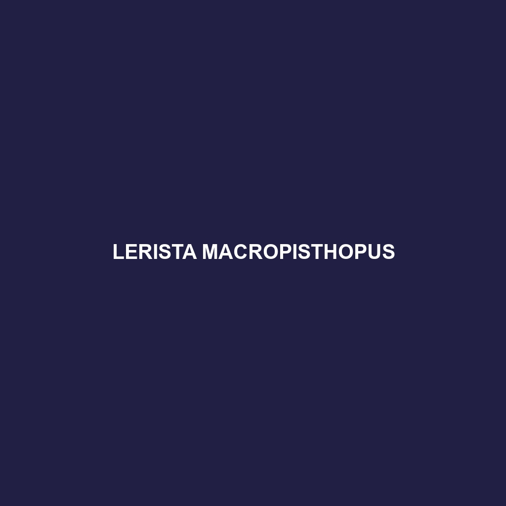 Lerista macropisthopus