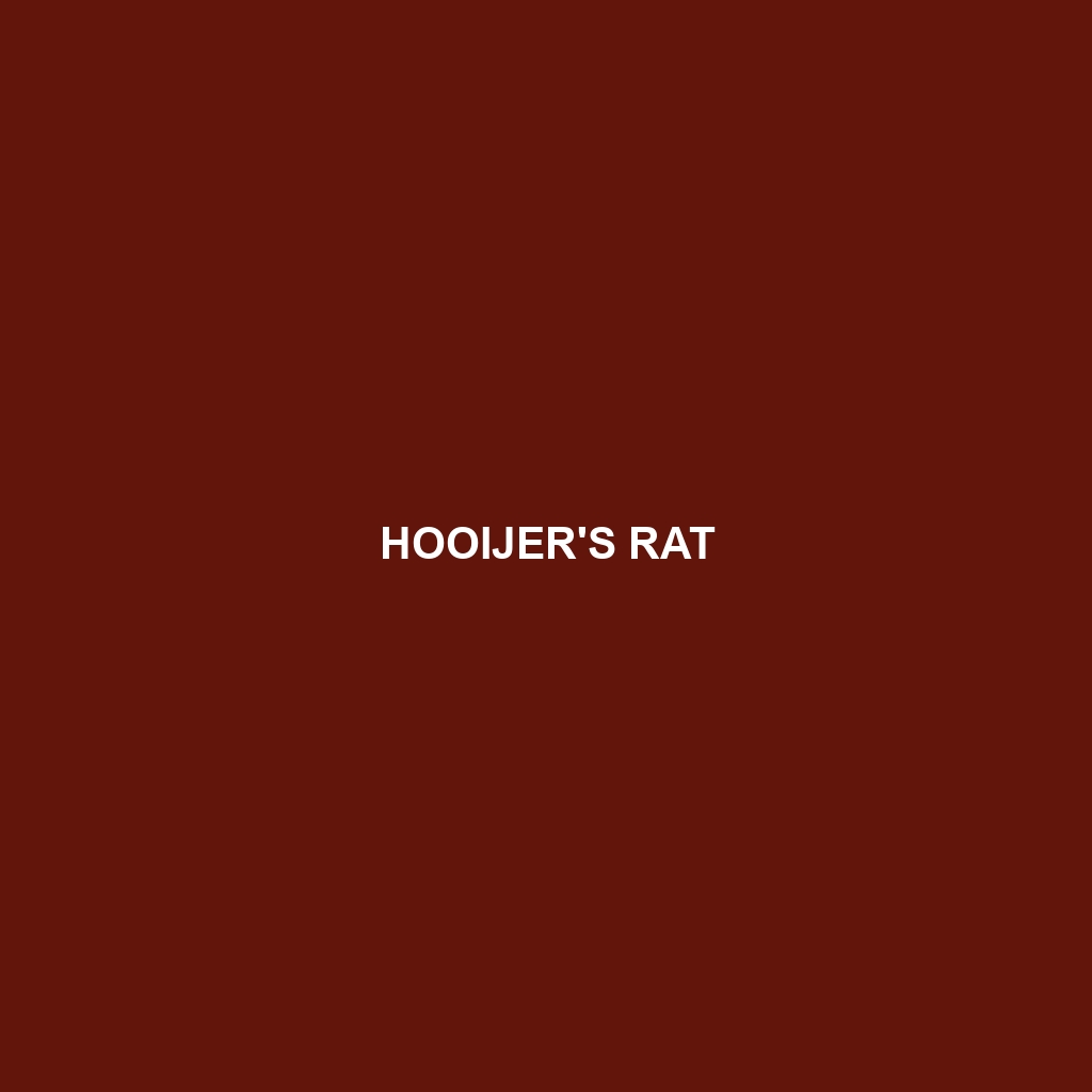 Hooijer's Rat