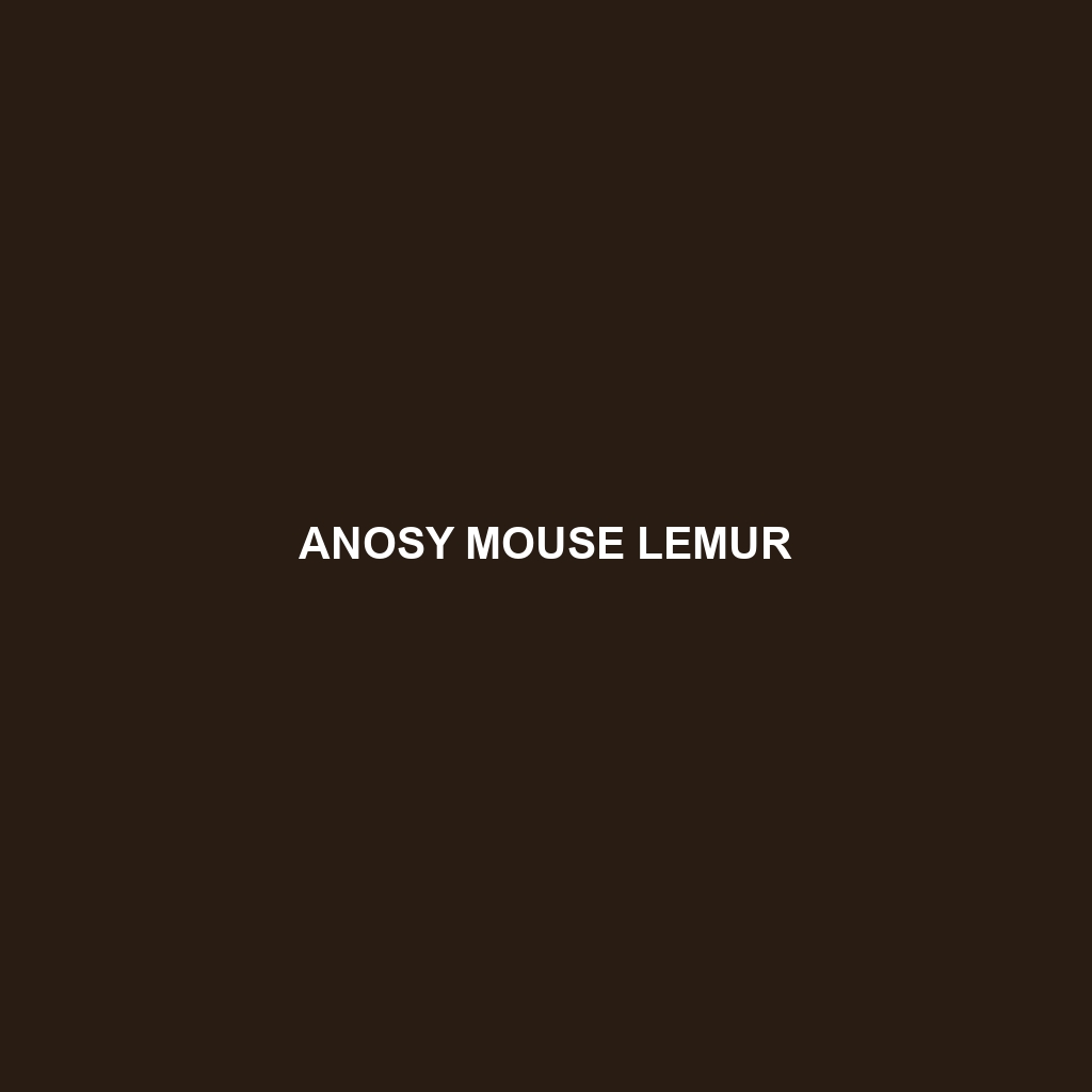 Anosy Mouse Lemur