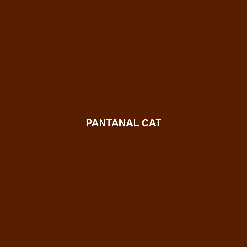 Pantanal Cat