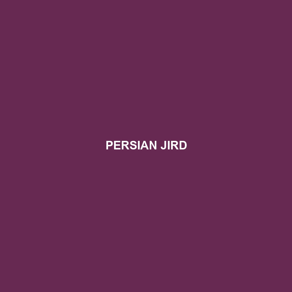 Persian Jird