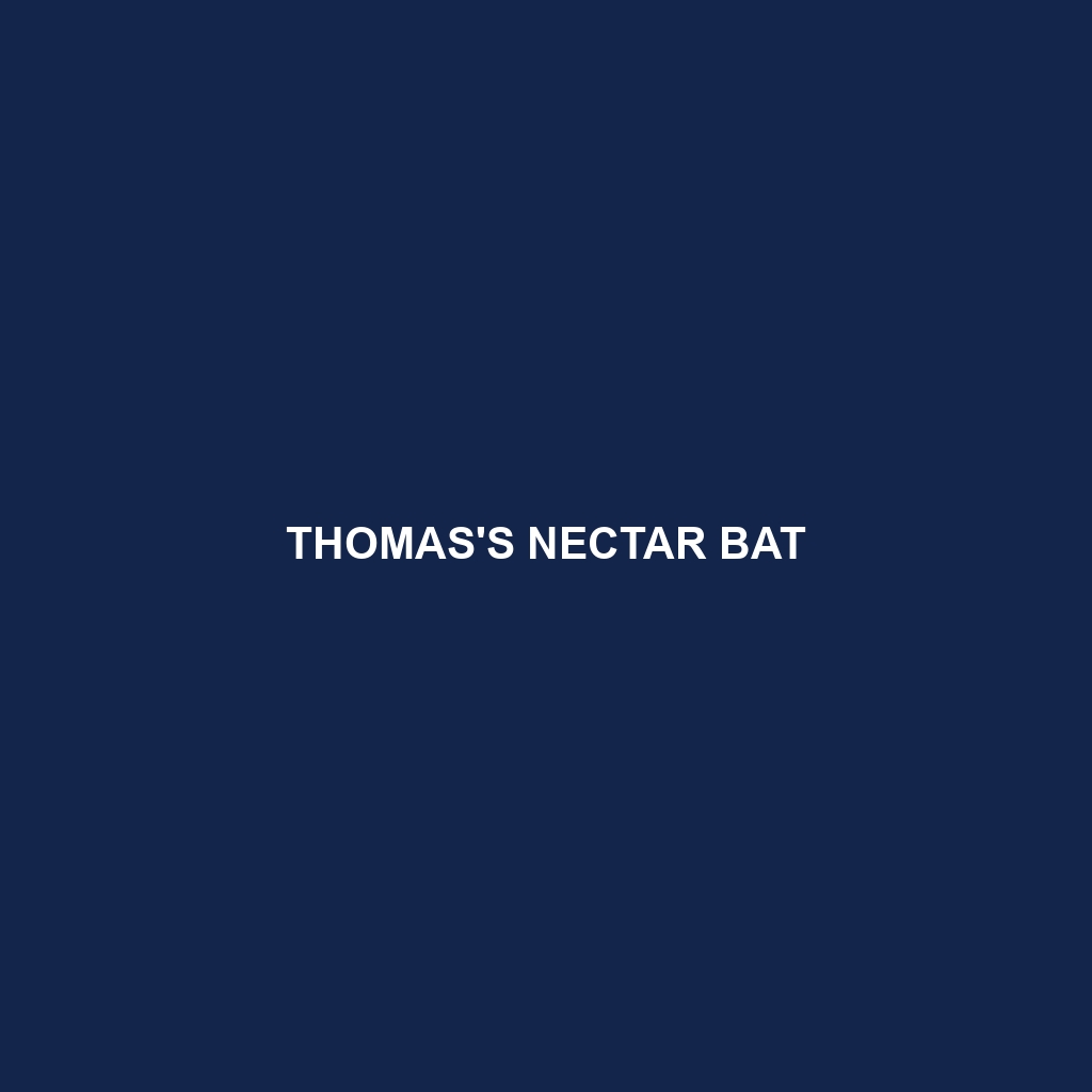 Thomas's Nectar Bat