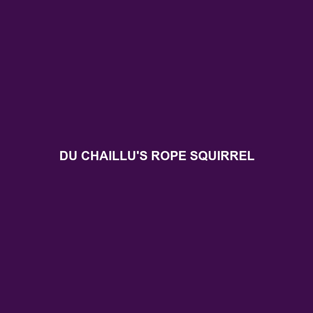 Du Chaillu's Rope Squirrel