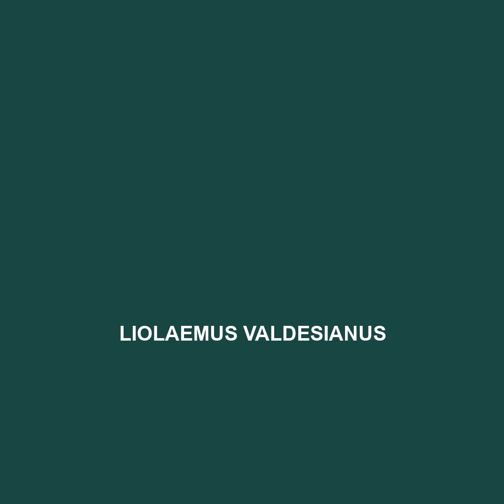 Liolaemus valdesianus