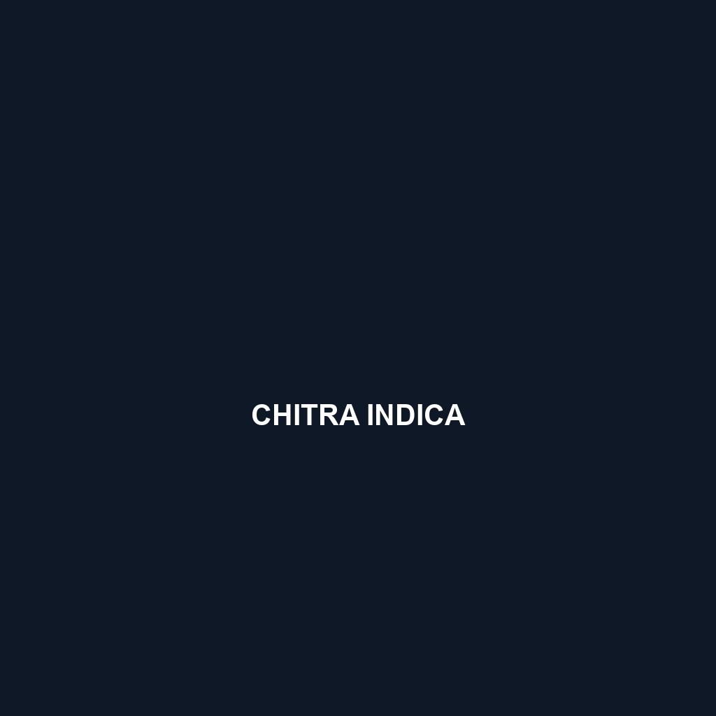 Chitra indica