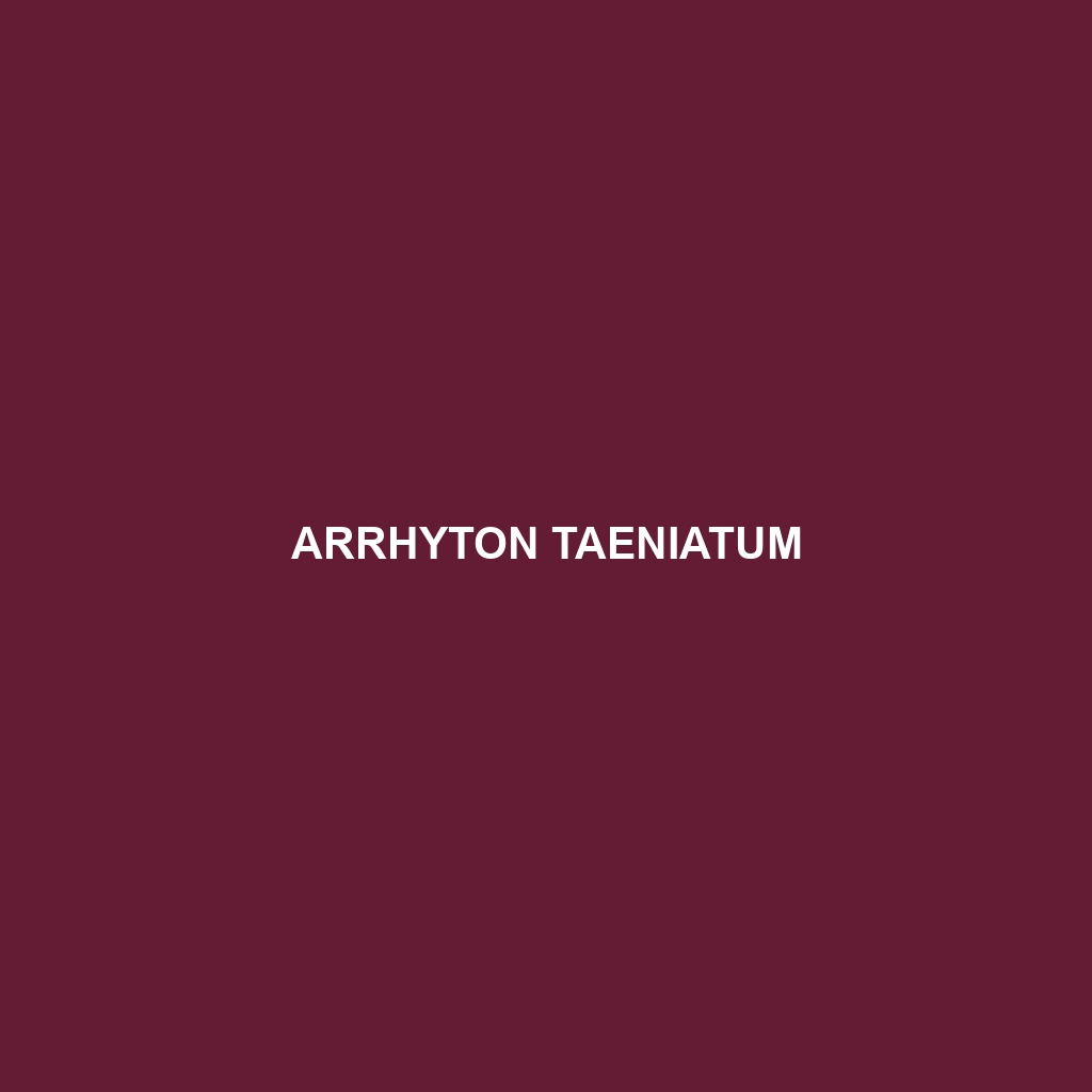 Arrhyton taeniatum