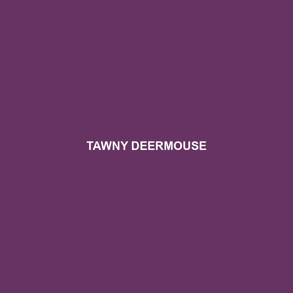 Tawny Deermouse