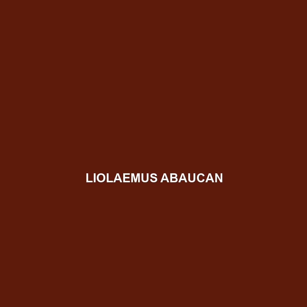 Liolaemus abaucan