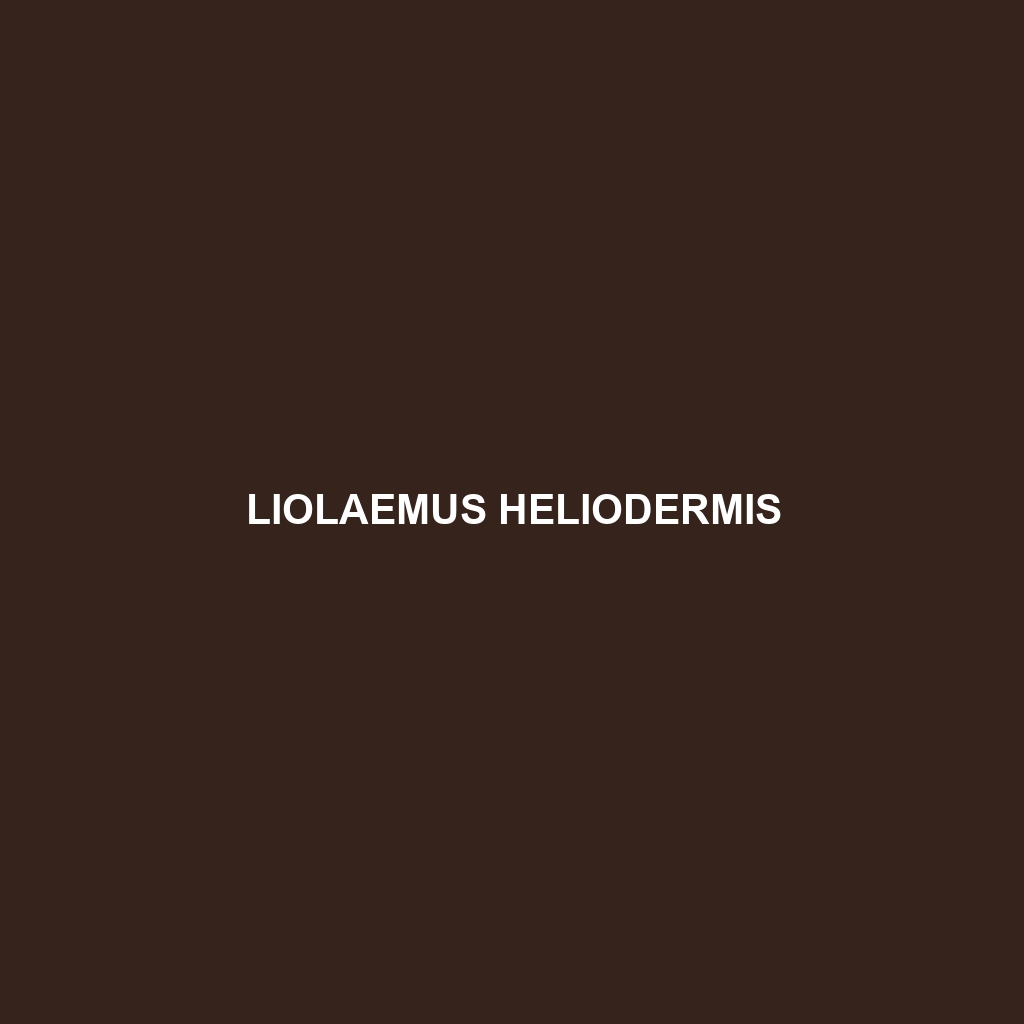 Liolaemus heliodermis