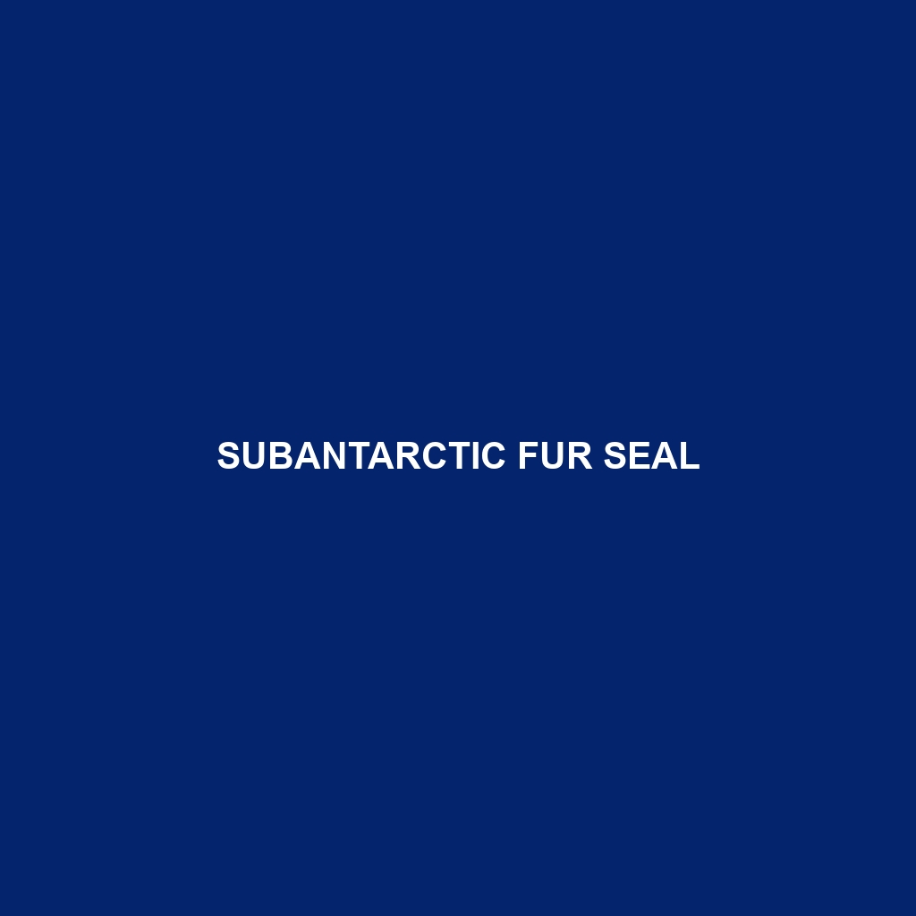 Subantarctic Fur Seal