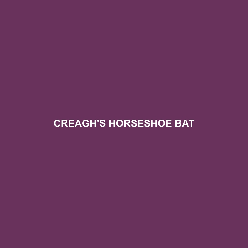 Creagh's Horseshoe Bat