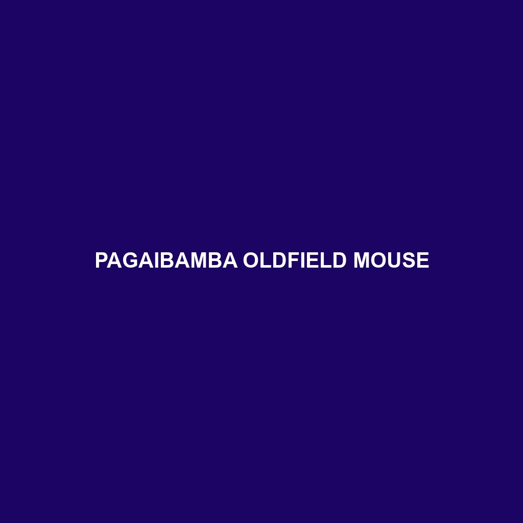 Pagaibamba Oldfield Mouse