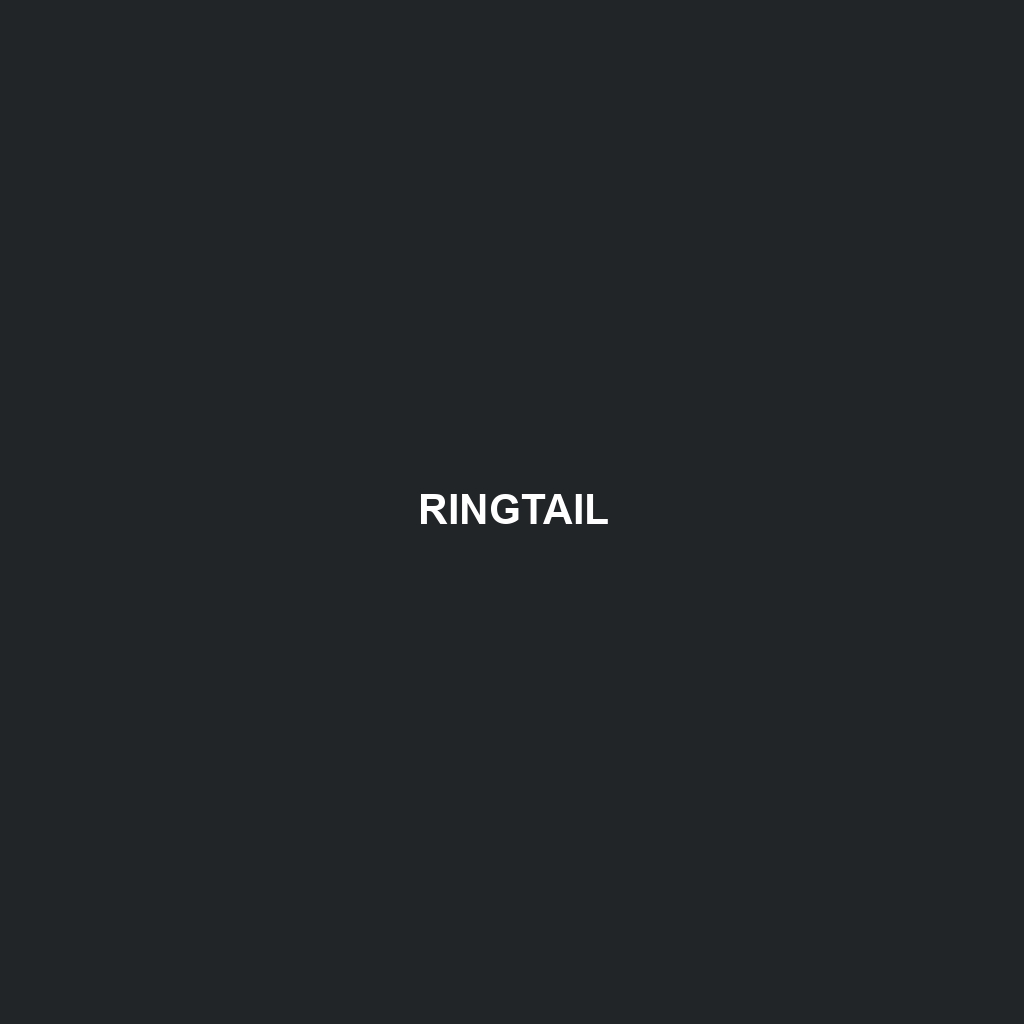 Ringtail