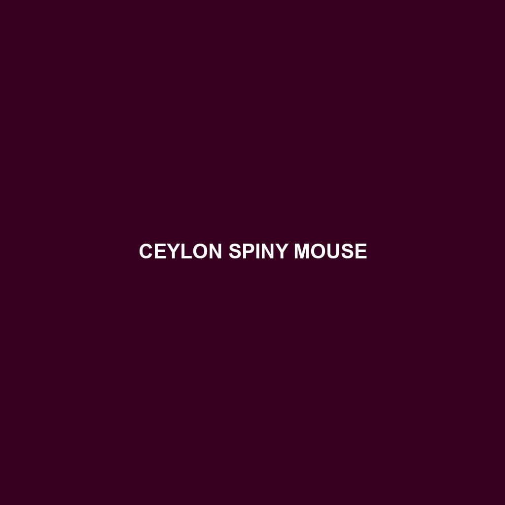 Ceylon Spiny Mouse