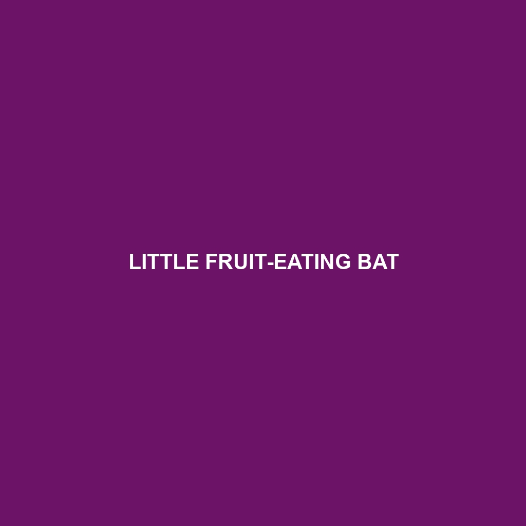 Little Fruit-eating Bat