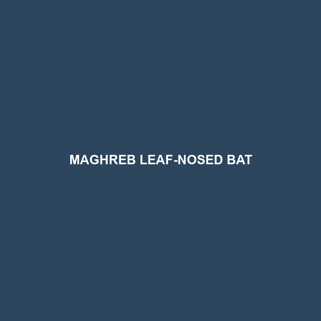 Maghreb Leaf-nosed Bat