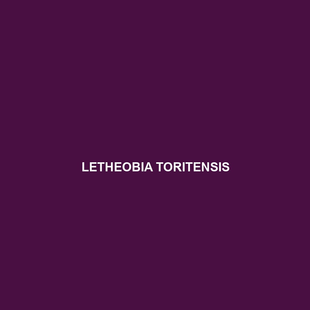 Letheobia toritensis