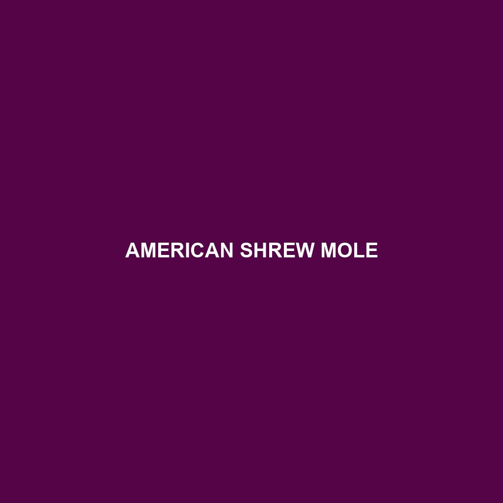 American Shrew Mole