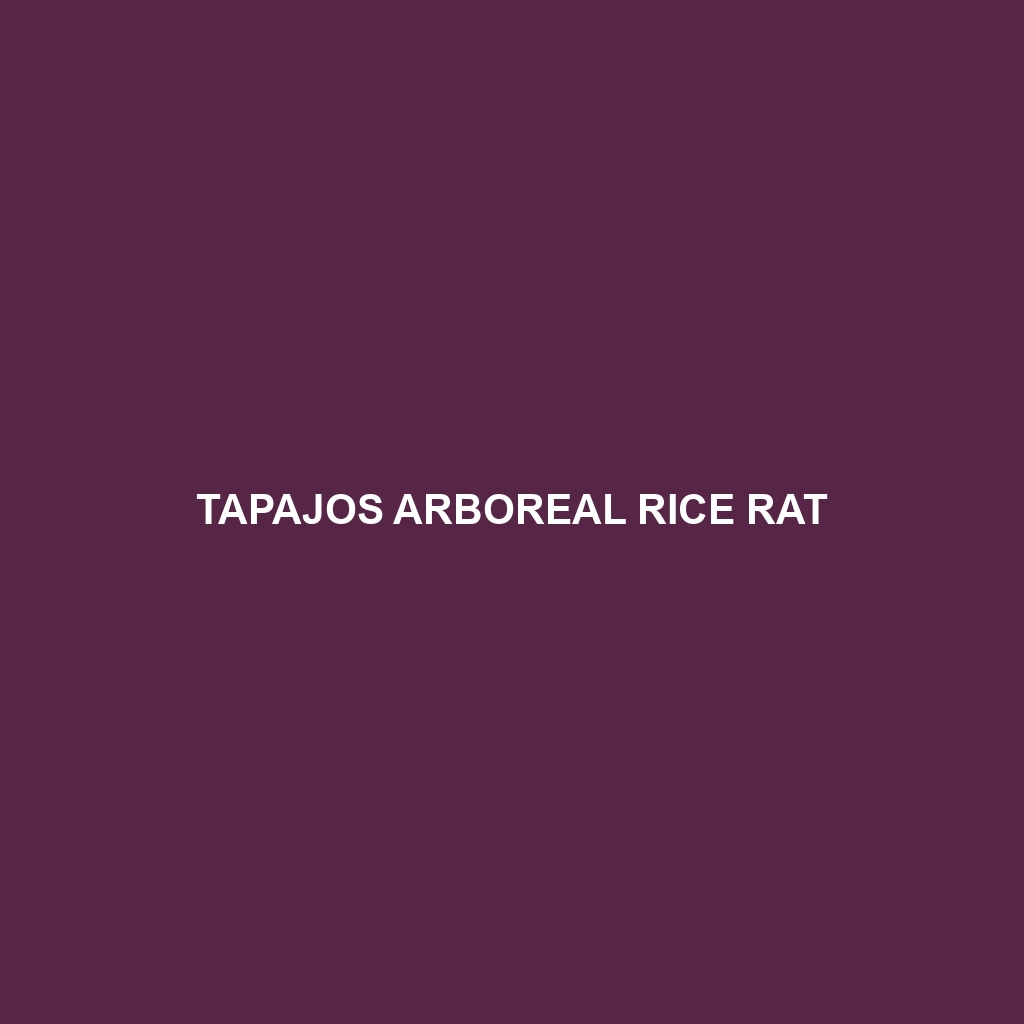 Tapajos Arboreal Rice Rat