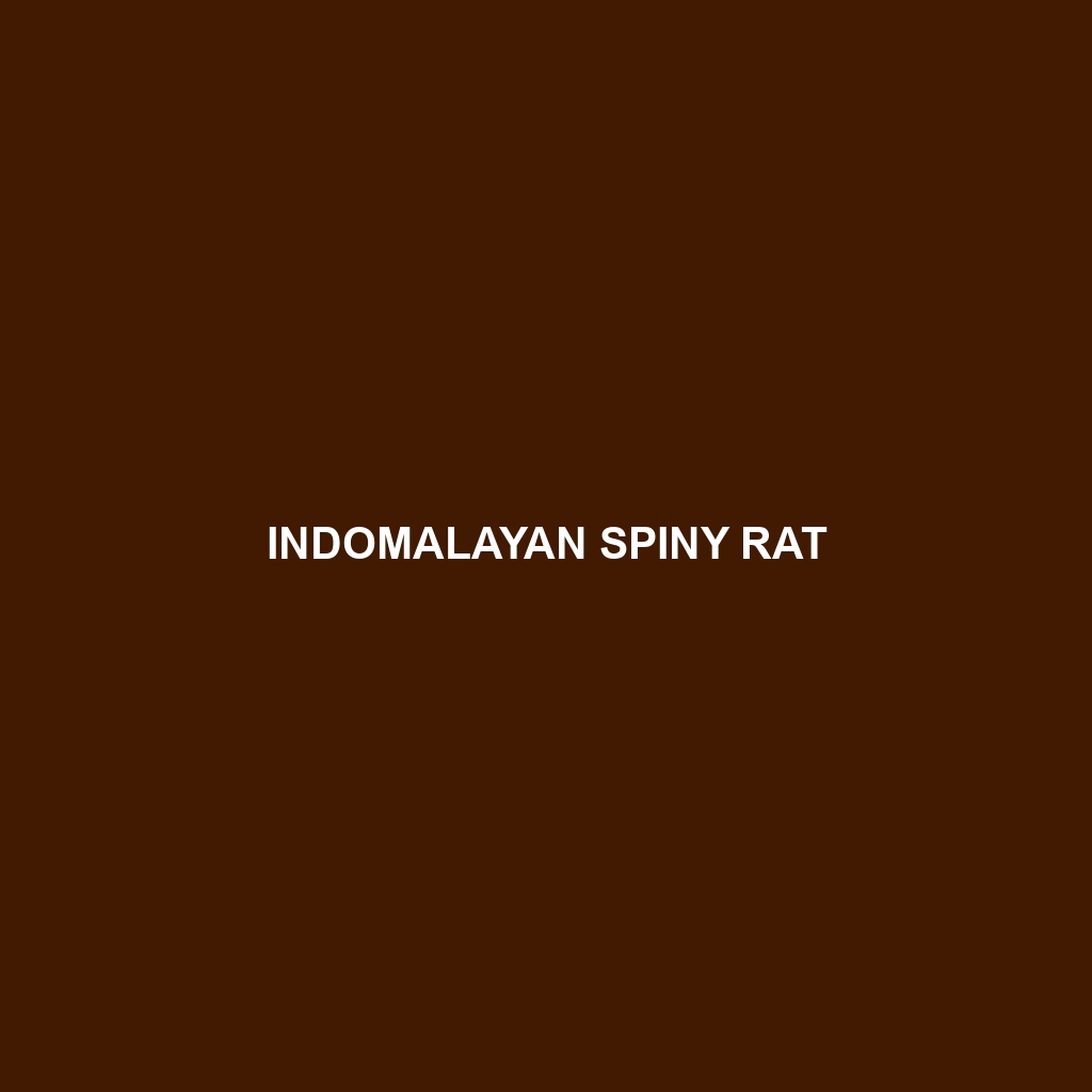 Indomalayan Spiny Rat