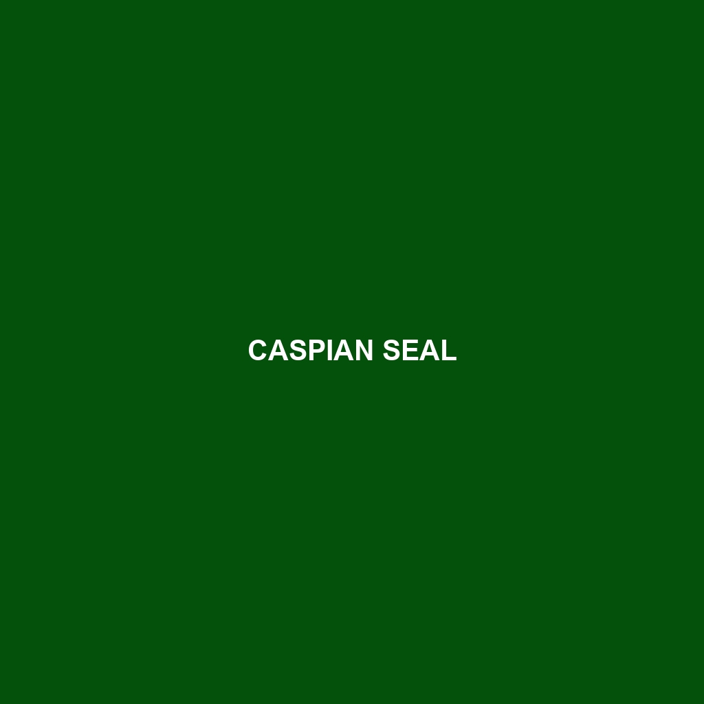 Caspian Seal