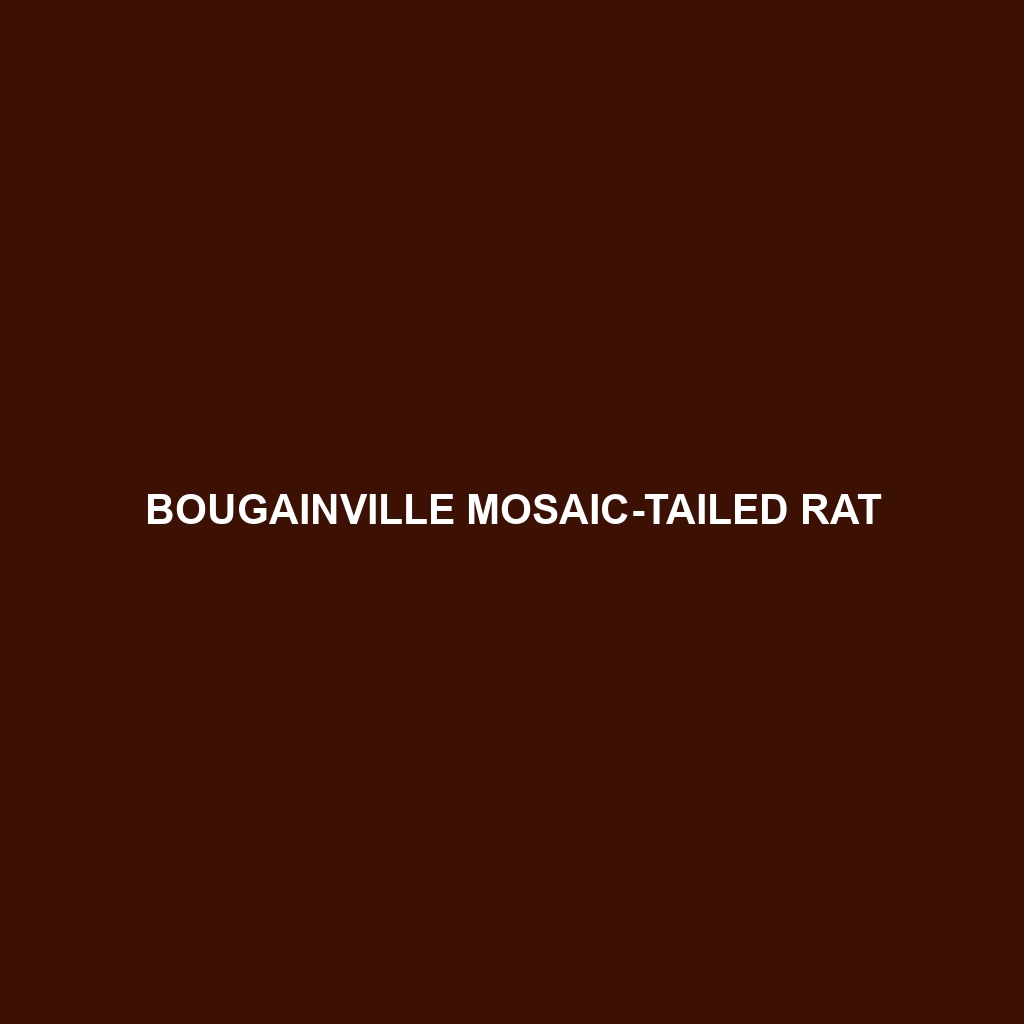 Bougainville Mosaic-tailed Rat