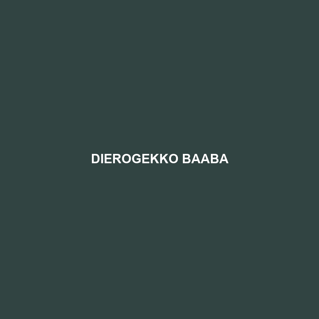 Dierogekko baaba