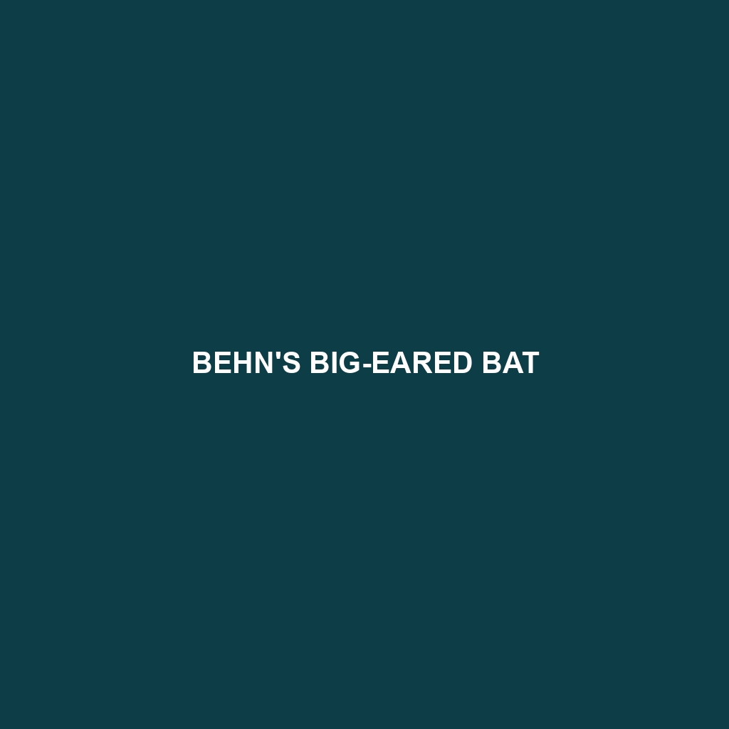 Behn's Big-eared Bat